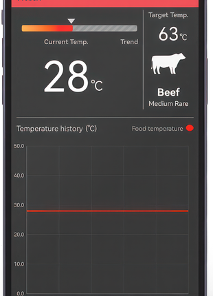 HerQs Pin Pro Thermometer