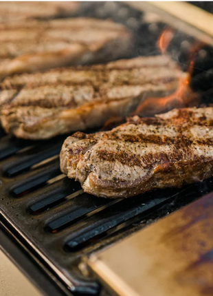 Masterbuilt Portable Charcoal Grill
